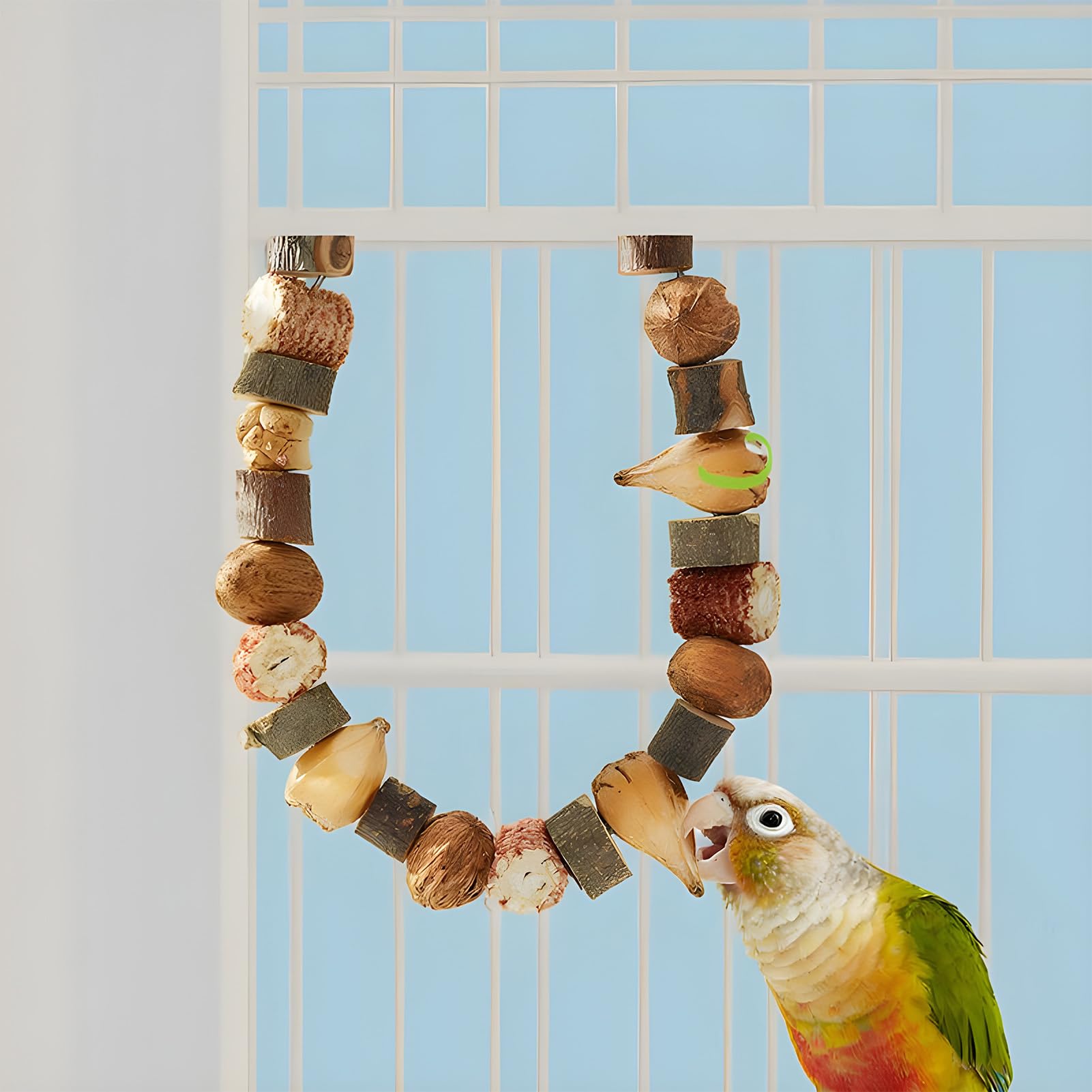 Amazon | 鳥用かじりおもちゃ - くちばし トリマー 嘴 ケア ツール